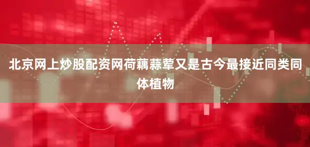 北京网上炒股配资网荷藕蒜荤又是古今最接近同类同体植物